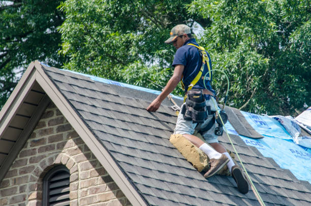 Best Flat Roof Repair Services  in Bannockburn, IL